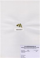 藏品(香蕉菜)的圖片